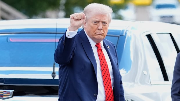 Donald Trump holds a closed fist in the air