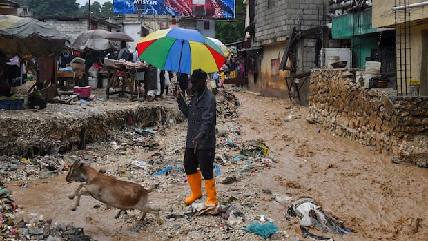 Man with umbrella stands in mud beside goat