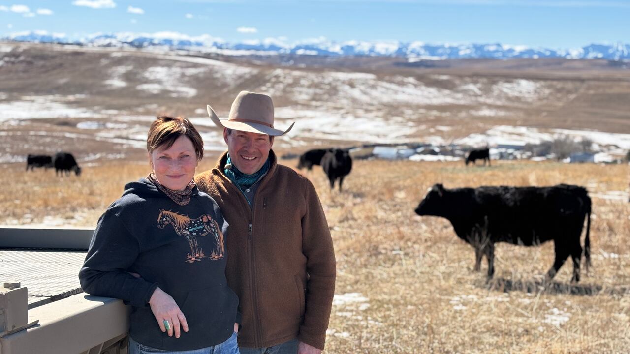 John Smith and Laura Laing are third-generation ranchers, with astir  500 caput  of cattle. 
