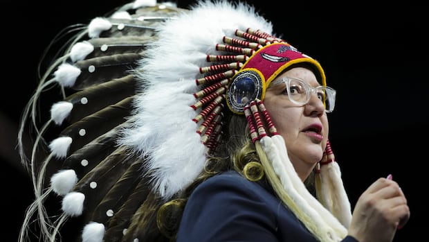 First Nations speak after launching constitutional challenge against laws allowing development fast-tracking